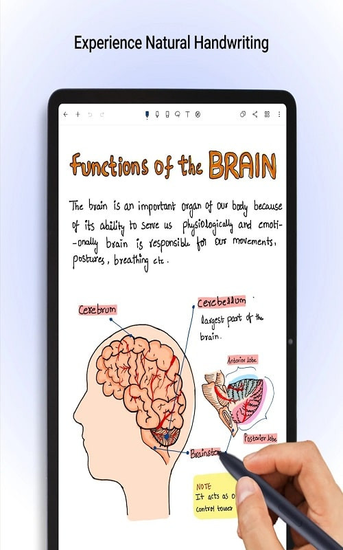 Using a stylus with Noteshelf