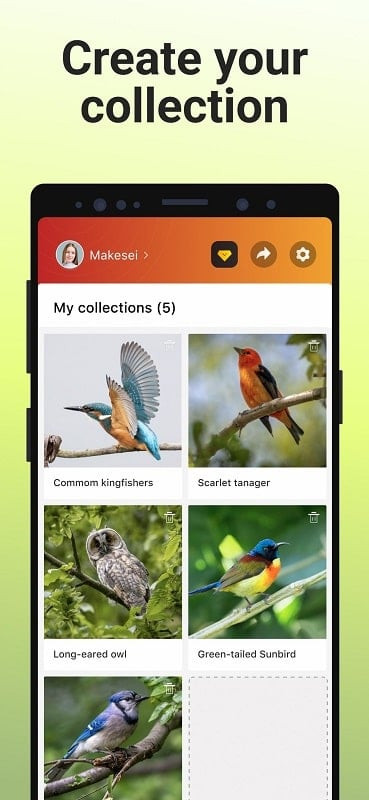 Tải Picture Bird APK miễn phí