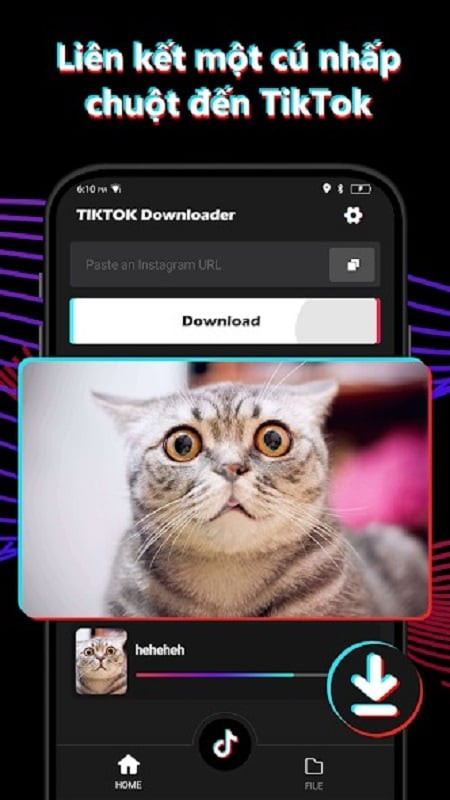 Tải Video TikTok Không Watermark