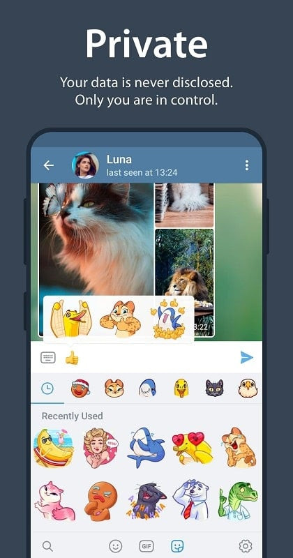 Telegram MOD APK stickers