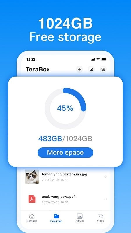 TeraBox MOD APK on Android