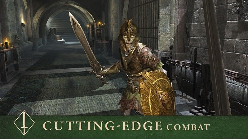 The Elder Scrolls Blades MOD APK Android