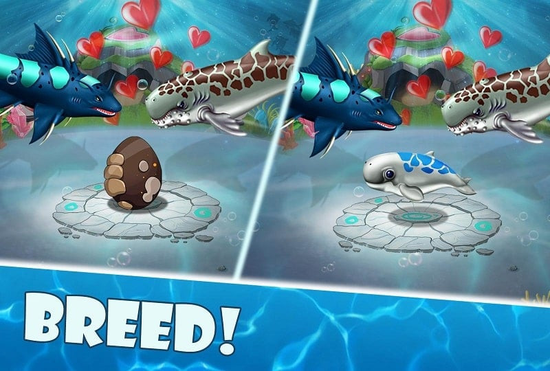 Shark World MOD APK Shark Species