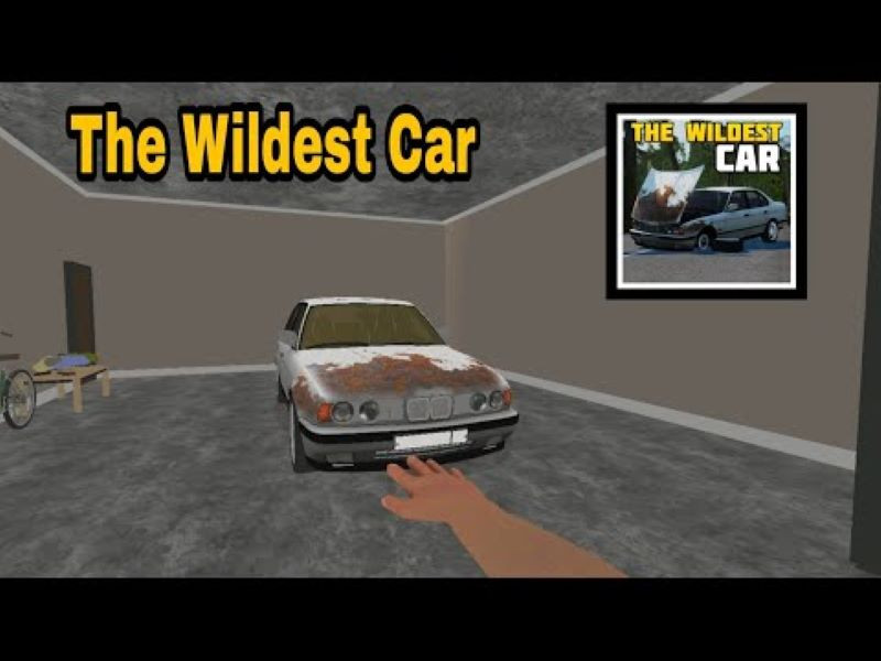 The Wildest Car gameplay screenshot