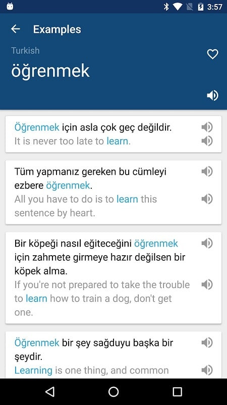 Turkish-English Dictionary app screenshot