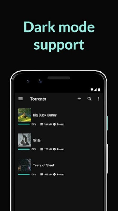 uTorrent Pro MOD APK Network Settings Screenshot