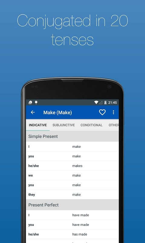 Example sentences illustrating verb usage in English Verb Conjugator Pro