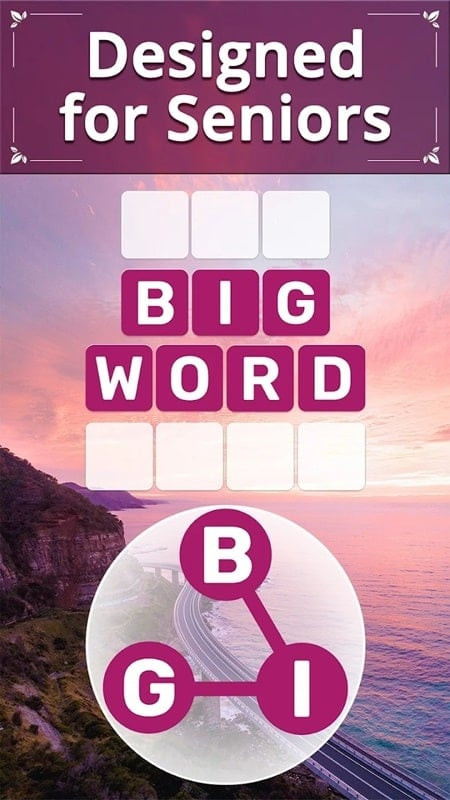 Vita Word for Seniors MOD APK Screenshot