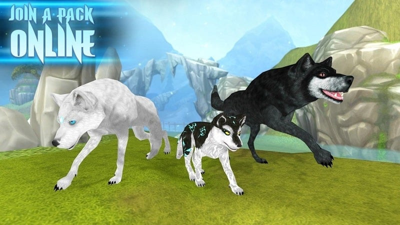 Wolf: The Evolution MOD APK Free Download