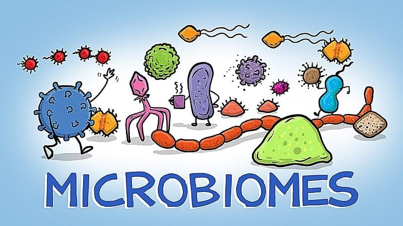 World of Microbes Gameplay Screenshot